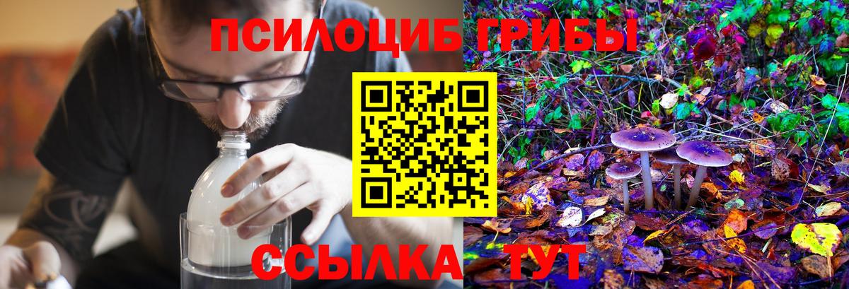 Галлюциногенные грибы прущие грибы  как найти закладки  Строитель  Вход с VPN  Галлюциногенные грибы GOLDEN TEACHER 